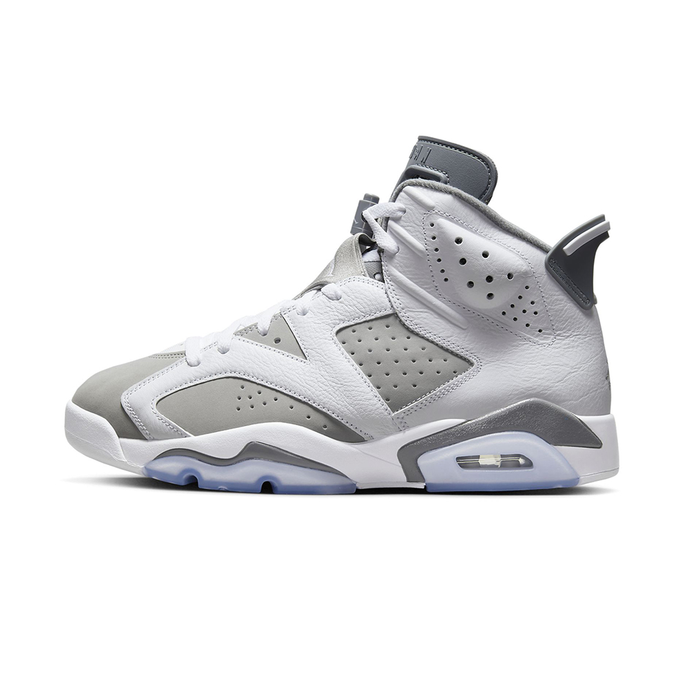Cool_Grey_CT8529_100